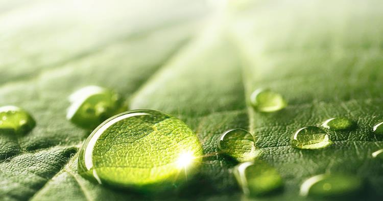Ricoh, 2025 Yılı Carbon Clean200™ listesinde 39. Sırada yer aldı.