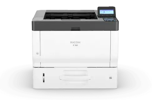 P 501